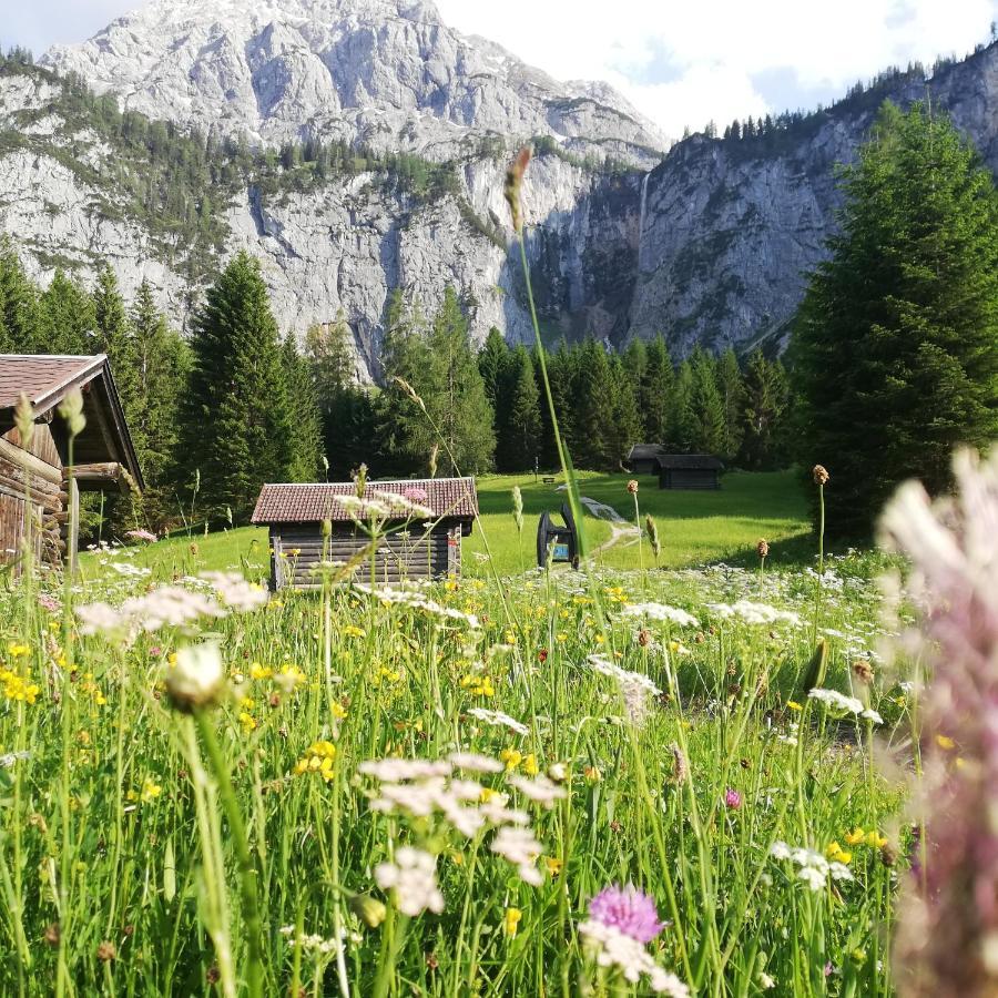 Gaestehaus Wilhelmshof Ehrwald Bagian luar foto